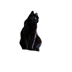 A Black Cat Sitting On A Tree Stump - Cat PNG image with transparent background