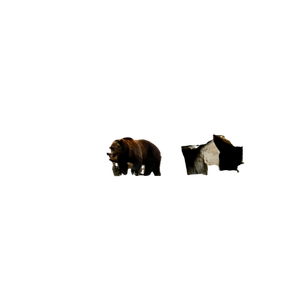 A Brown Bear Standing In Front Of A Cave