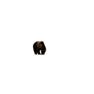 A Brown Bear Standing In Front Of A Rocky Cliff