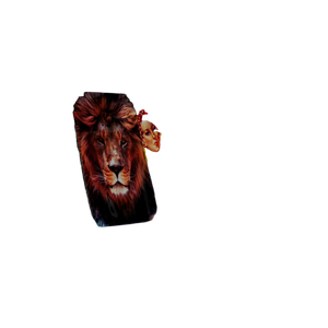 A Bunch Of Posters That Are On A Wall – cat PNG with transparent background