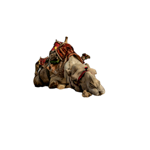 A Camel Laying On The Ground In Front Of A Pyramid – cat PNG with transparent background