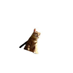 A Cat Sitting On A Roof – cat PNG with transparent background