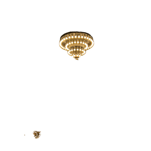 A Chandelier Hangs From The Ceiling In A Large Room – cat PNG with transparent background