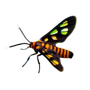 A Close Up Of A Butterfly On A Green Leaf