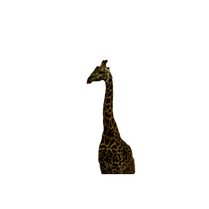 A Giraffe Standing In Front Of A City Skyline – cat PNG with transparent background