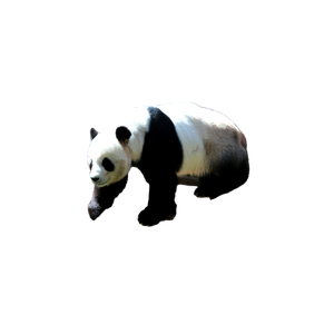 A Panda Bear Sitting On A Wooden Bench