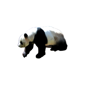 A Panda Bear Sitting On A Wooden Chair