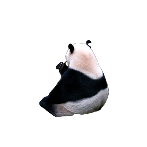 A Panda Bear Sitting On The Ground Next To A Tree