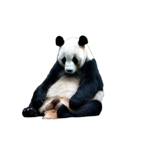 A Panda Bear Sitting On Top Of A Pile Of Logs