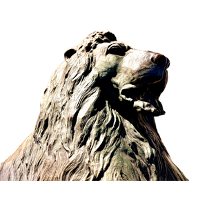 A Statue Of A Bear In Front Of A Building