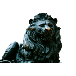 A Statue Of A Lion On A City Street – cat PNG with transparent background