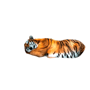 A Tiger Laying On Top Of A Fallen Tree - Cat PNG image with transparent background