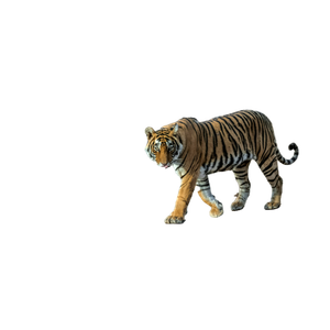 A Tiger Walking Across A Dirt Road Next To A Forest - Cat PNG image with transparent background