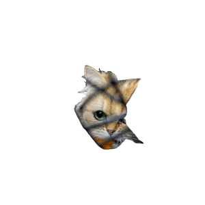 An Orange And White Cat Sitting In A Cage – cat PNG with transparent background