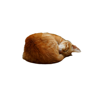 An Orange Cat Sleeping On Top Of A White Table