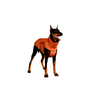 Black And Tan Short Coat Medium Dog Jumping - Cat PNG image with transparent background