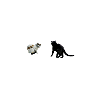 Black And White Cats Near Gray Post – cat PNG with transparent background