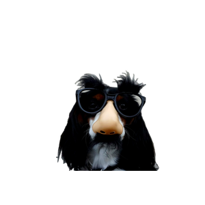 Black And White Dog With Disguise Eyeglasses – cat PNG with transparent background