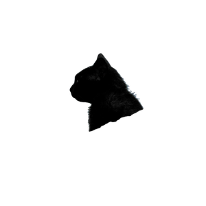 Black Cat Behind Stone – cat PNG with transparent background