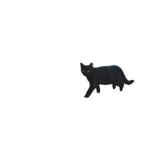Black Cat Walking On Grass Near Wooden Board – cat PNG with transparent background