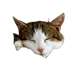 Brown And White Cat On White Textile