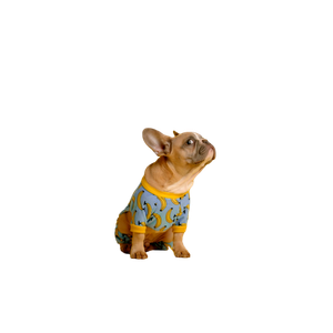 Brown And White Ceramic Dog Figurine – cat PNG with transparent background