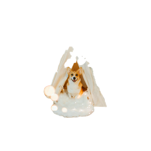 Brown And White Dog Sitting Under White Hut – cat PNG with transparent background