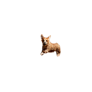 Brown Dog Running – cat PNG with transparent background
