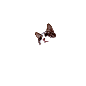 Brown Tabby Cat On Brown Box – cat PNG with transparent background