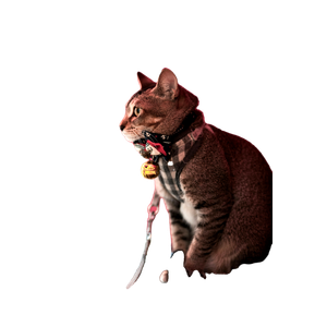 Brown Tabby Cat On Red Umbrella – cat PNG with transparent background