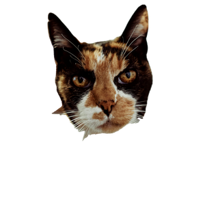 Calico Cat On Brown Wooden Table – cat PNG with transparent background