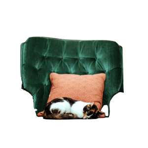 Calico Cat On Top Of Green Tufted Armchair – cat PNG with transparent background