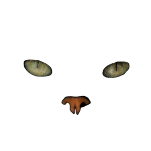Cat'S Face – cat PNG with transparent background