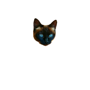 Cat Sitting Beside Firewood In Organizer – cat PNG with transparent background