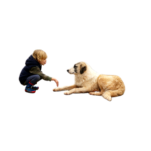 Child Crouching In Front Of Lying Dog On Road During Daytime – cat PNG with transparent background