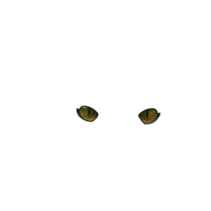 Closeup Of Black Cat – cat PNG with transparent background