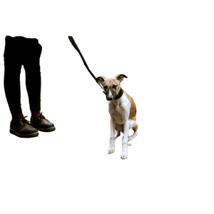 Dog Beside Person – cat PNG with transparent background