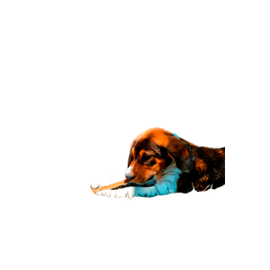 Dog Lies Near Building – cat PNG with transparent background