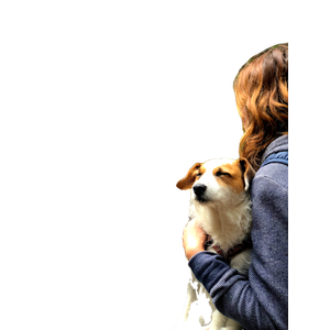 Dog On Woman'S Lap In Front Of Dining Table – cat PNG with transparent background