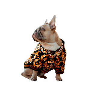 Fawn Pug Wearing Black Orange And White Leopard Print Shirt