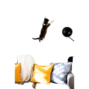 Gray Fabric Sofa Chair – cat PNG with transparent background