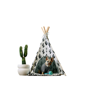 Green Pine Tree On White Wooden Table – cat PNG with transparent background