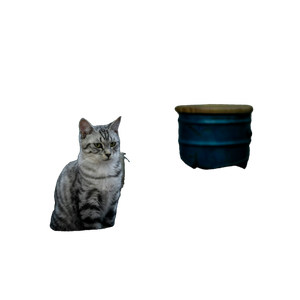 Cat PNG image: Grey Tabby Cat In Wicker Basket - transparent background