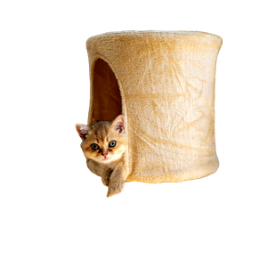 Kitten In Cat Tree – cat PNG with transparent background