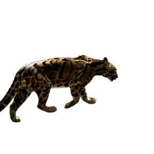 Related cat image: Leopard Walking On Gray Sand During Daytime