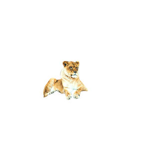 Lioness Laying On Gray Rock – cat PNG with transparent background