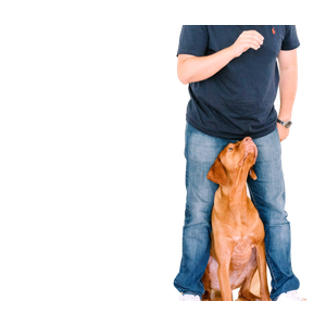 Man In Front Of Dog – cat PNG with transparent background
