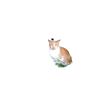 Orange Cat On Grasses – cat PNG with transparent background