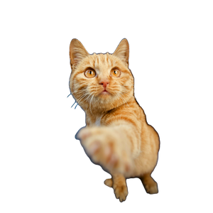 Orange Tabby Cat In Blue Ceramic Bowl – cat PNG with transparent background