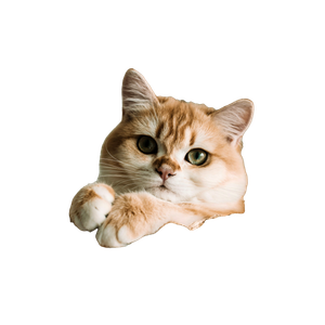 Orange Tabby Cat On Brown Woven Basket